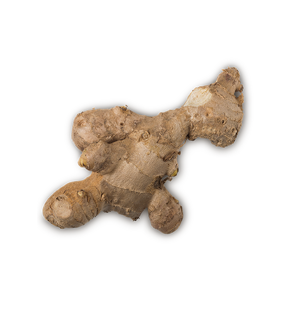 Ginger - US 4693
