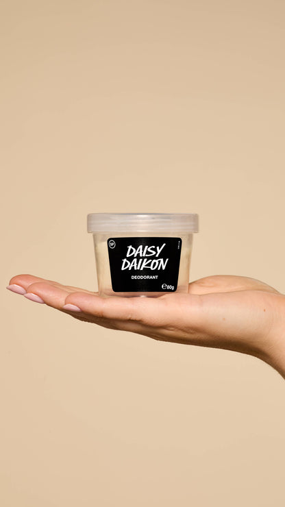 Daisy Daikon - US 4439