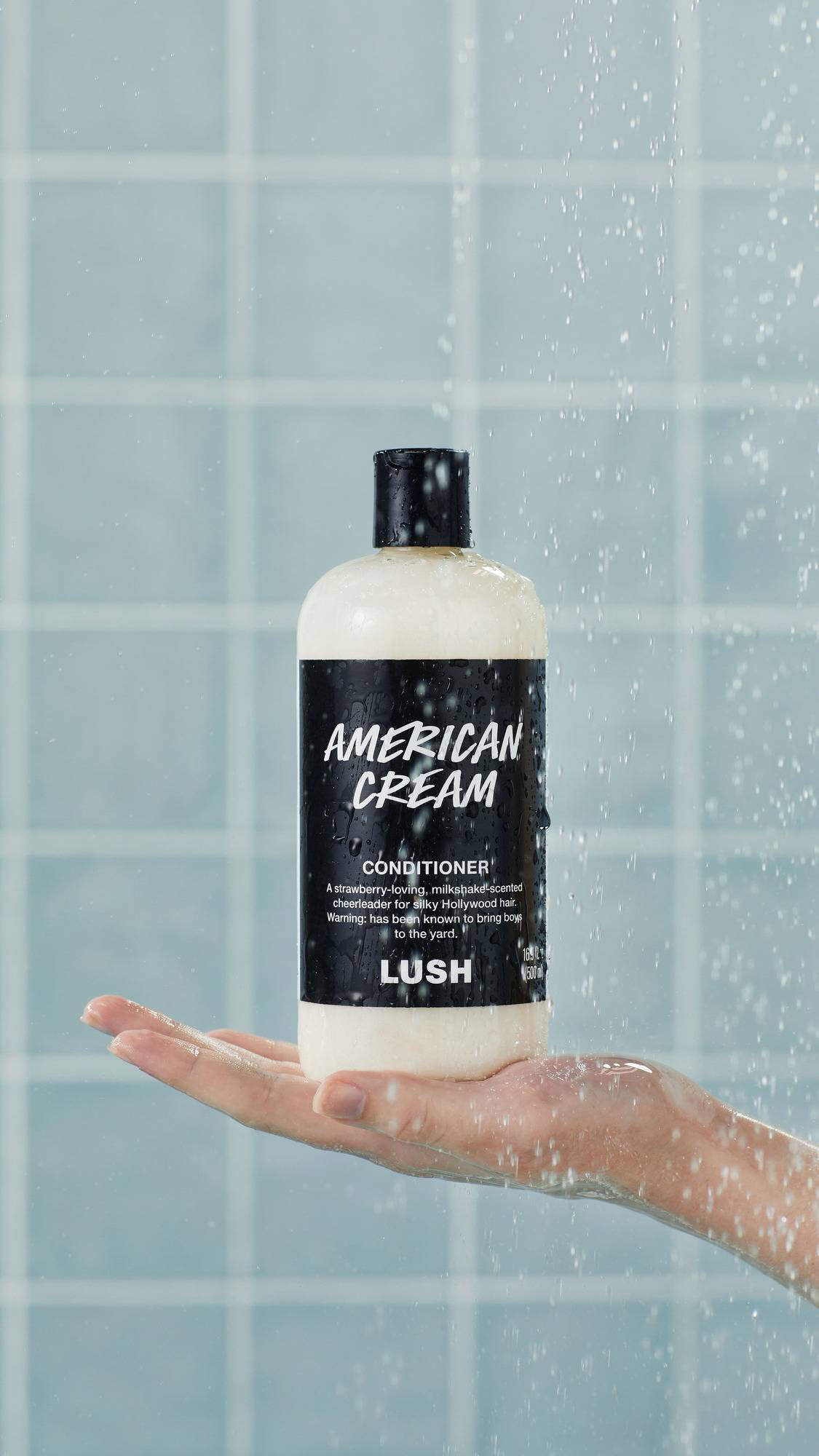 American Cream - US 5833