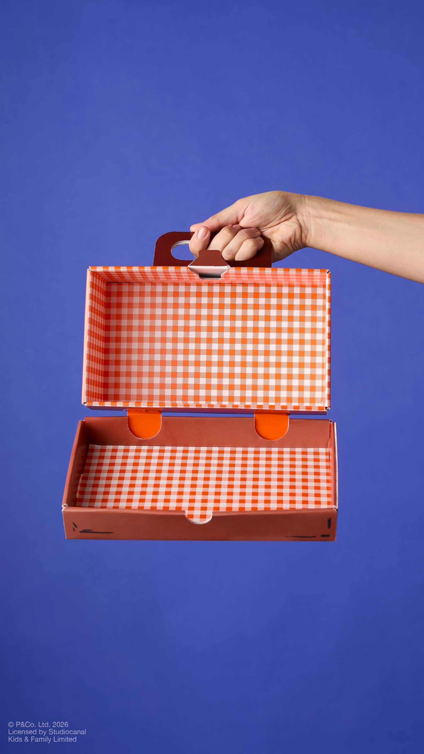 Suitcase - US 5163