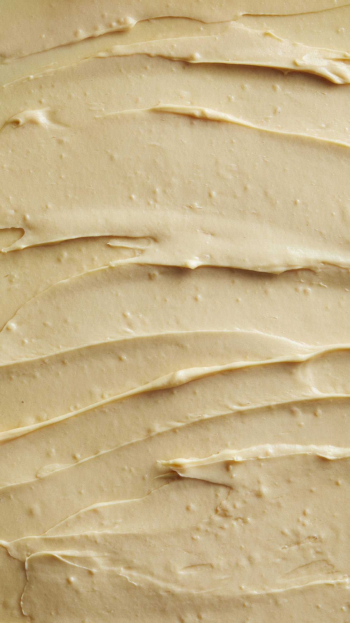 Tofu - US 2748