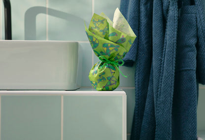 Turtley Awesome - US 6290